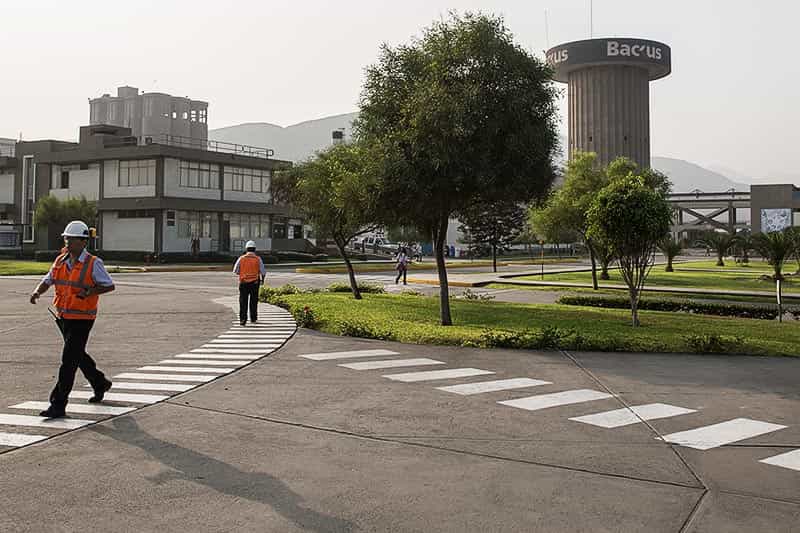 Planta Ate 5
